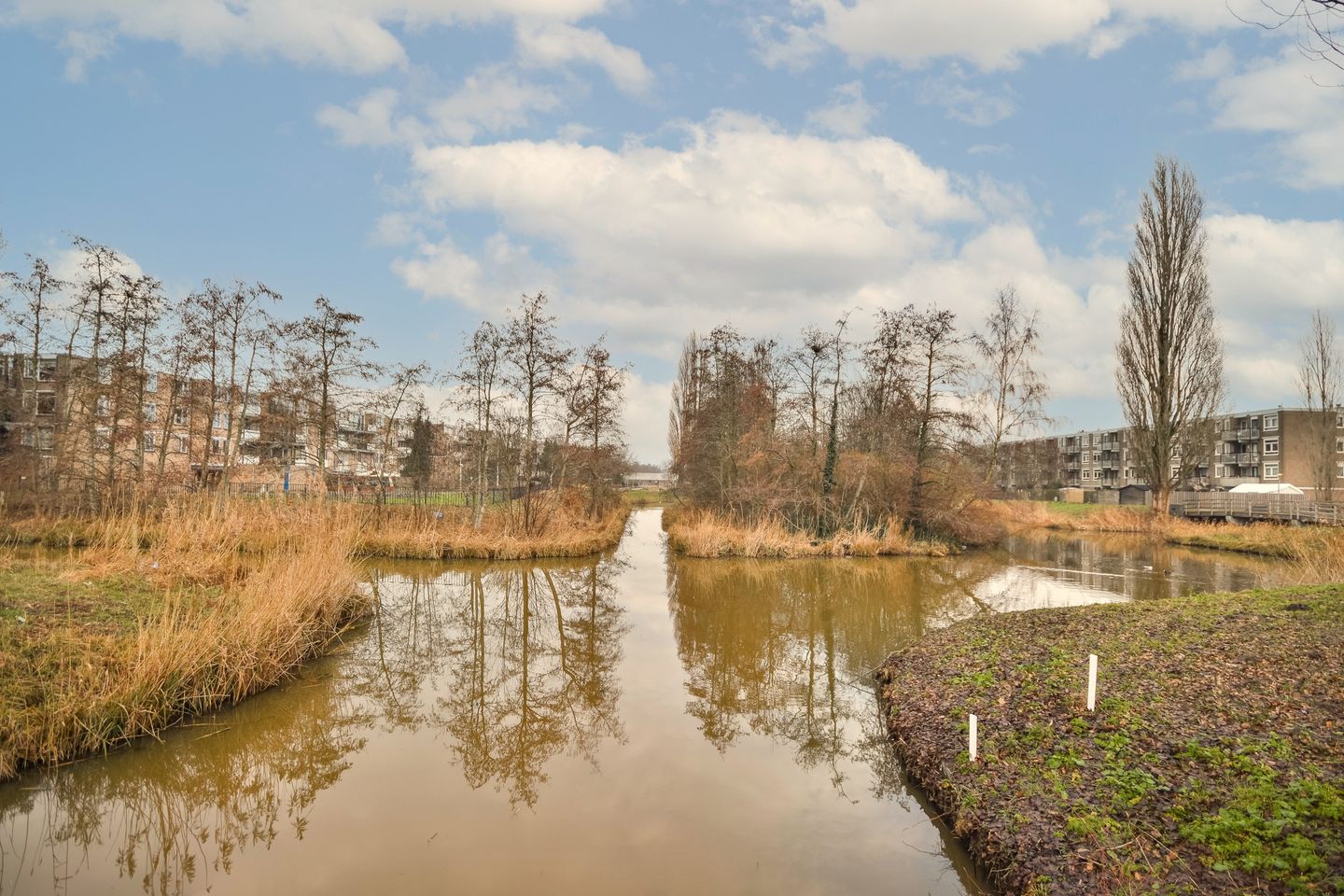 Foto 19 van Schaarsbergenstraat 110