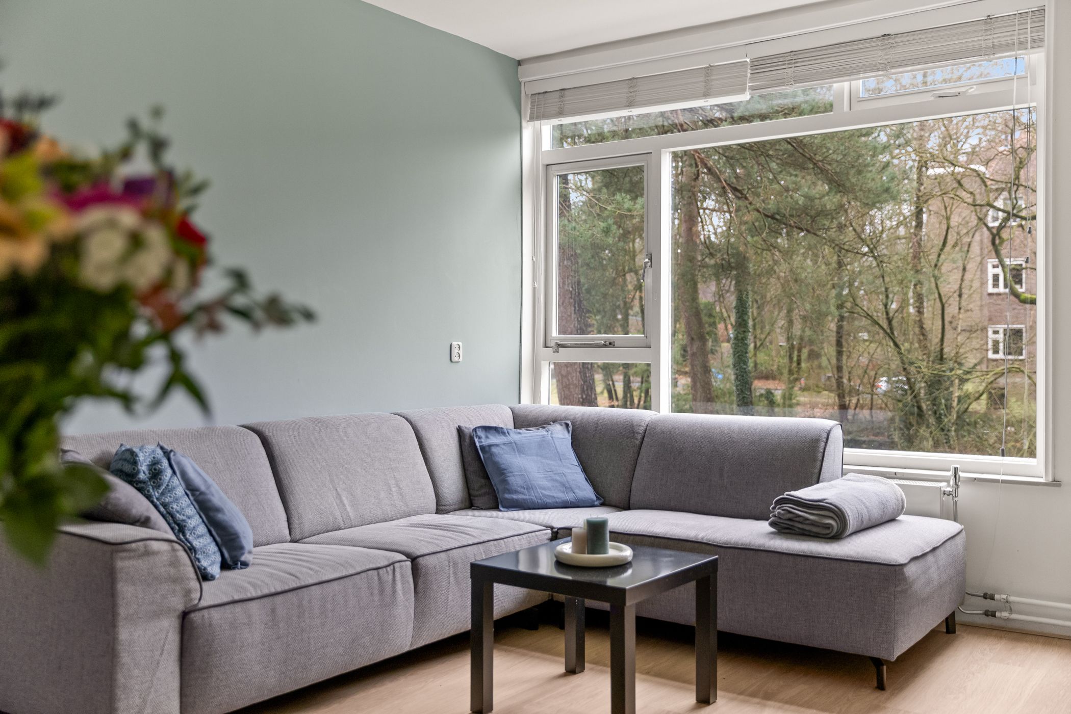 Foto 9 van Cort van der Lindenlaan 34-B