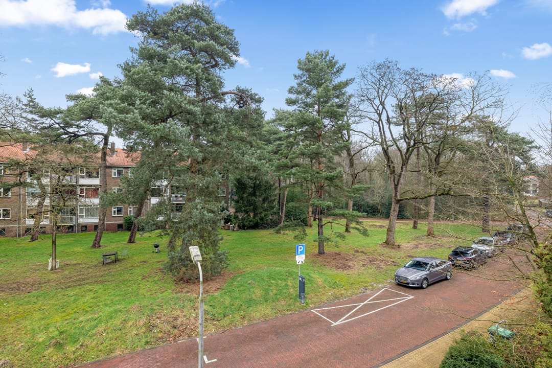 Foto 32 van Cort van der Lindenlaan 34-B