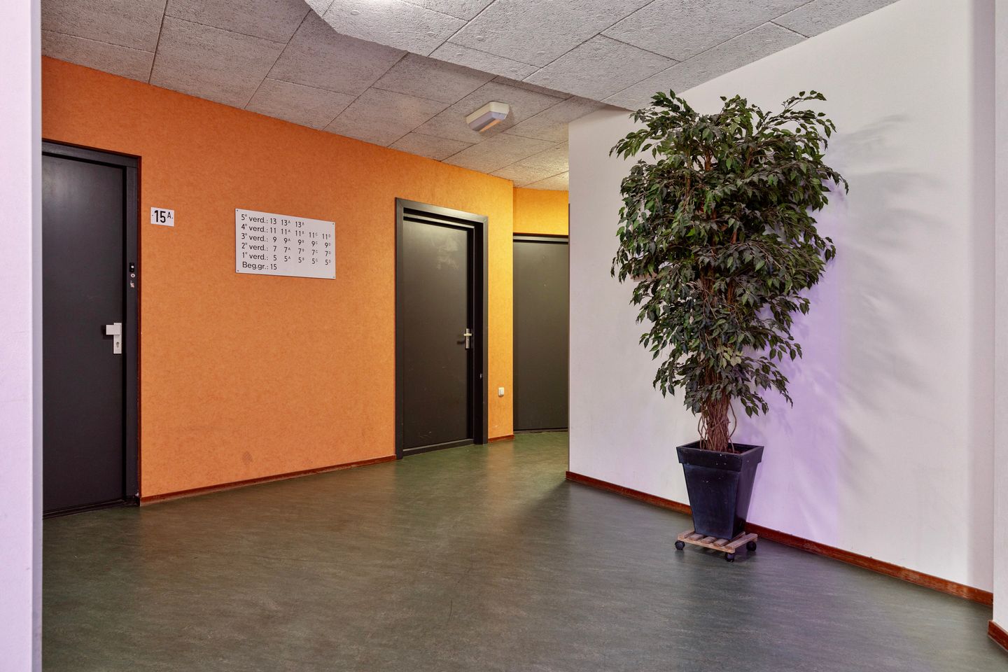 Foto 5 van Dirigentenlaan 9-B