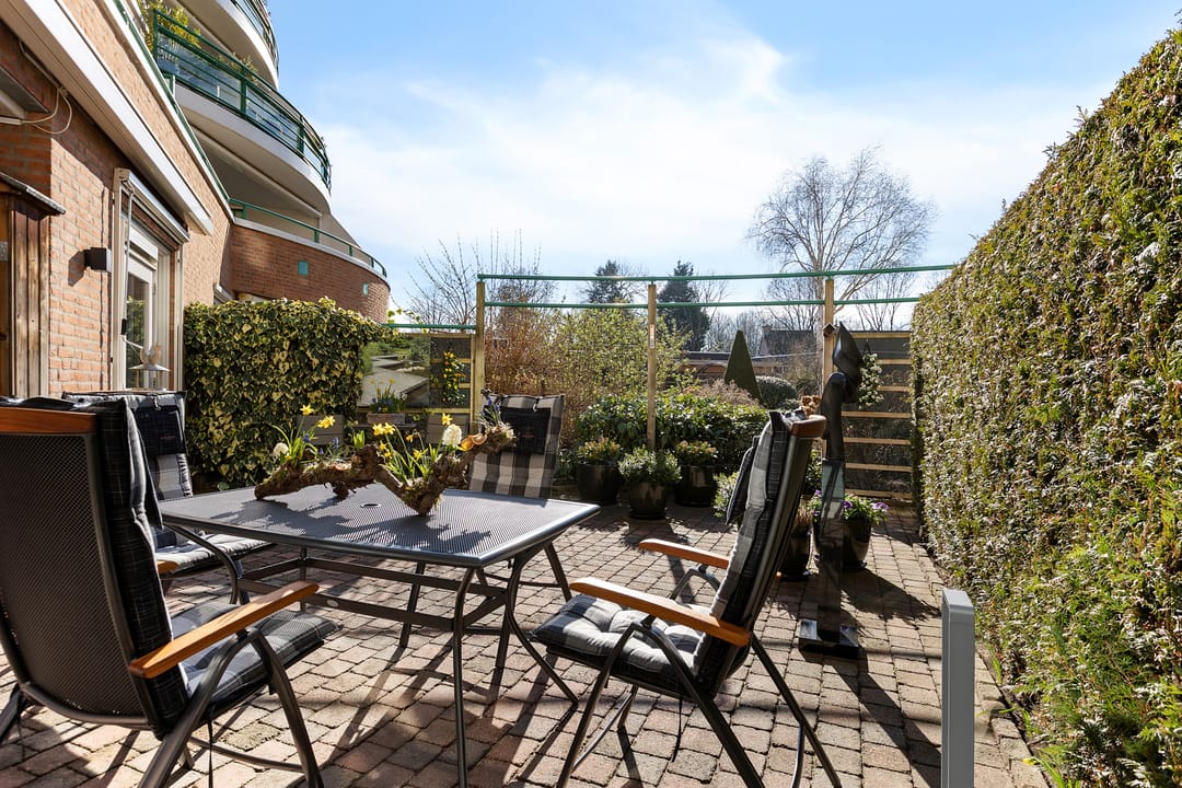 Photo 28 of Jeneverbes 29