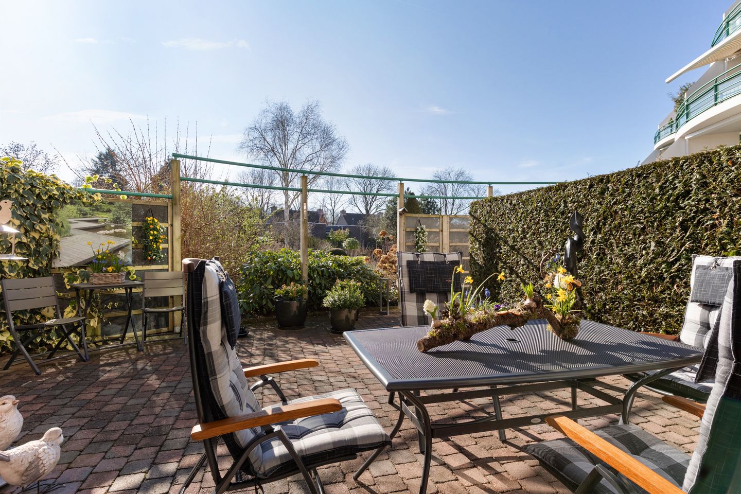 Photo 29 of Jeneverbes 29