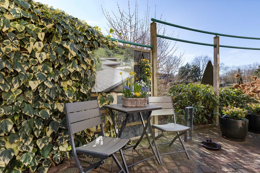 Photo 31 of Jeneverbes 29