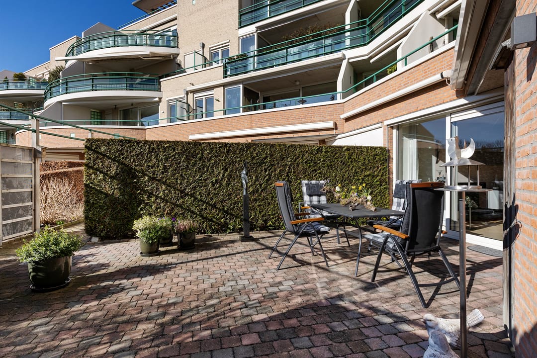 Photo 32 of Jeneverbes 29