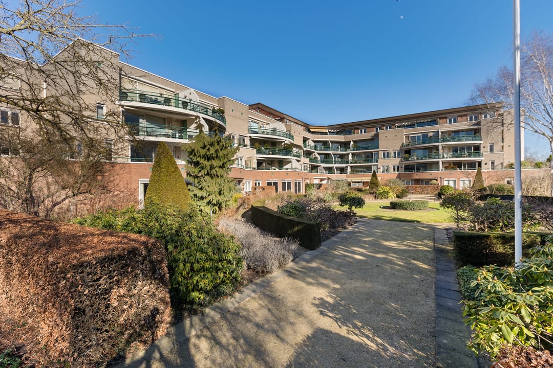 Photo 37 of Jeneverbes 29