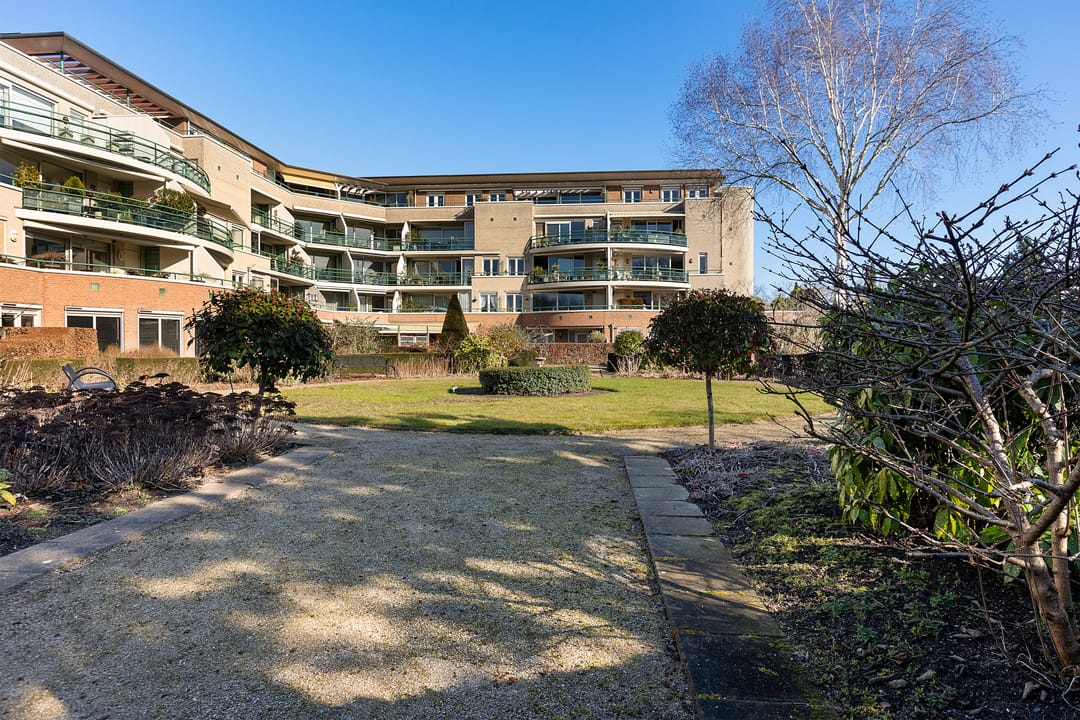 Photo 38 of Jeneverbes 29