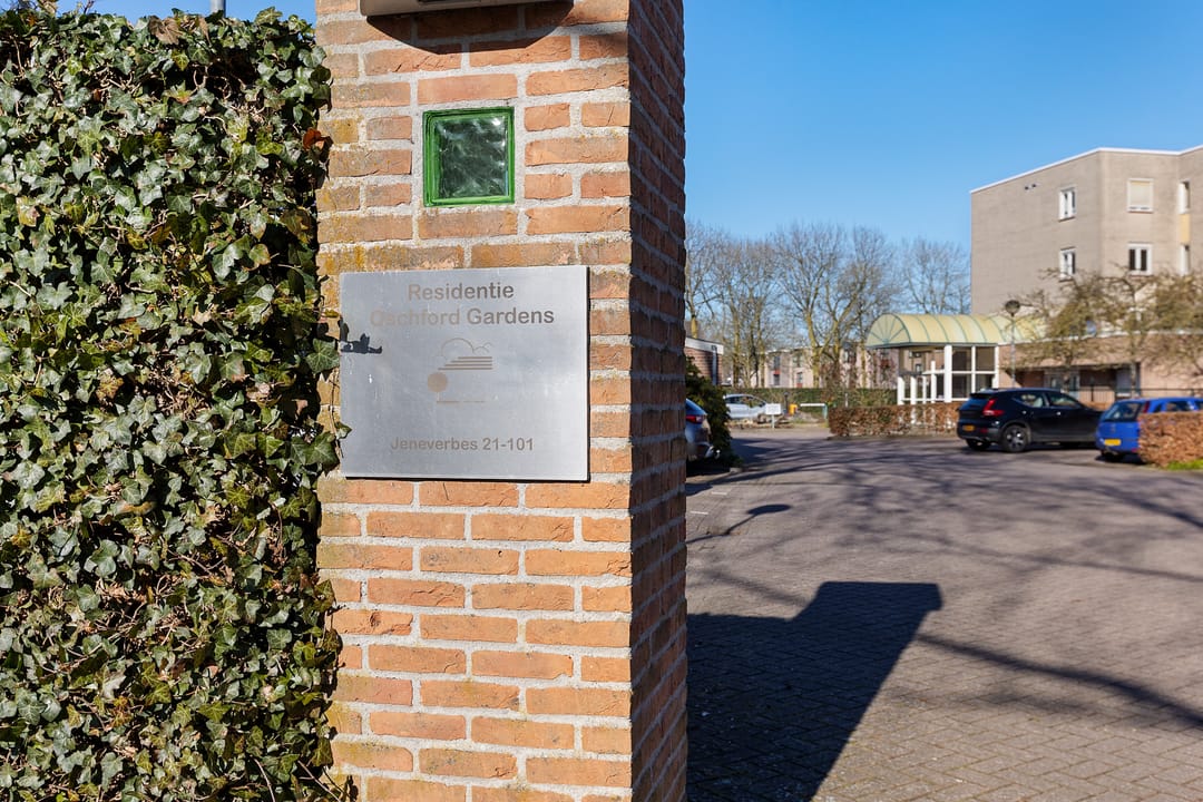 Photo 43 of Jeneverbes 29