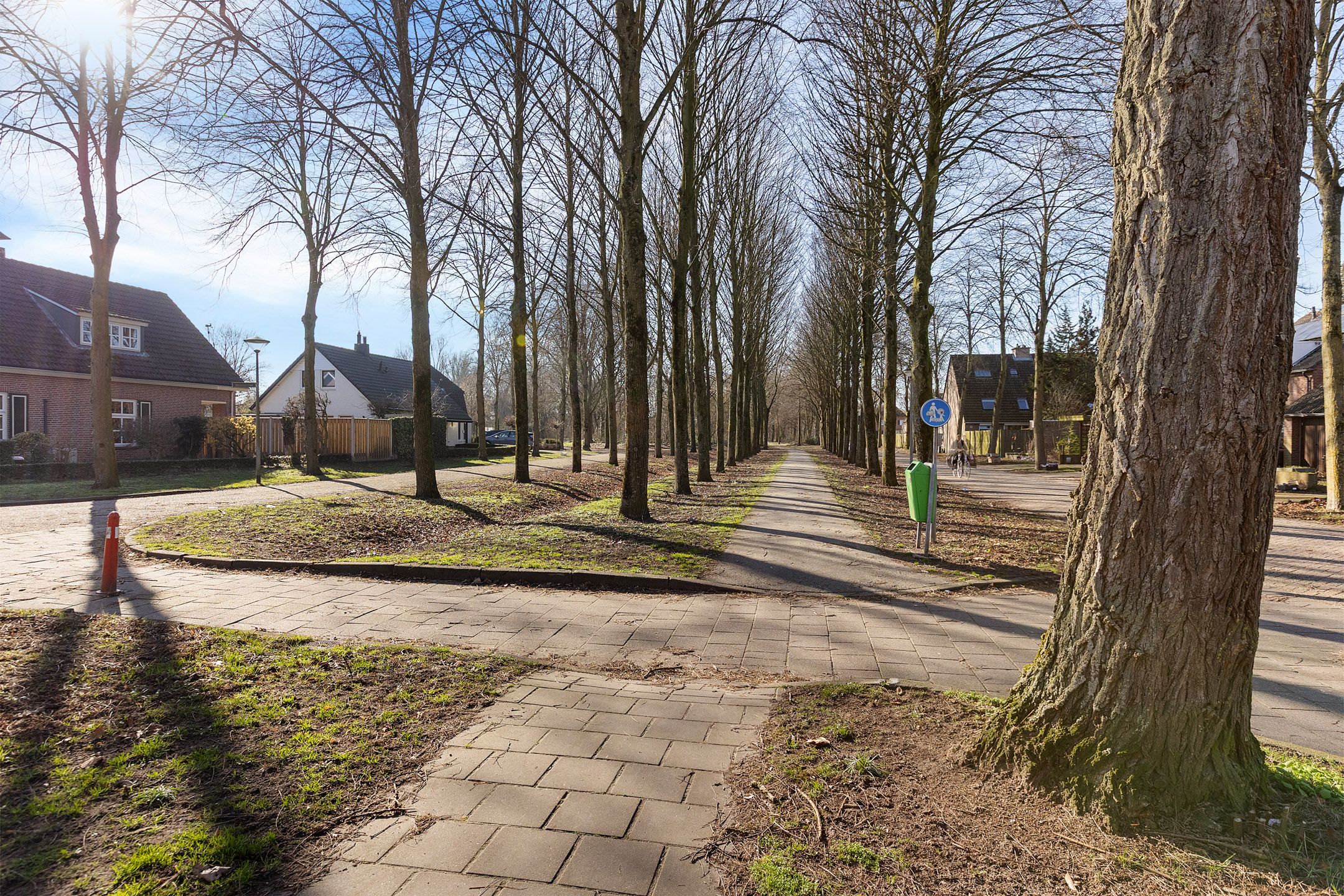 Photo 45 of Jeneverbes 29