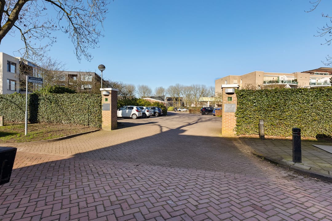 Photo 46 of Jeneverbes 29