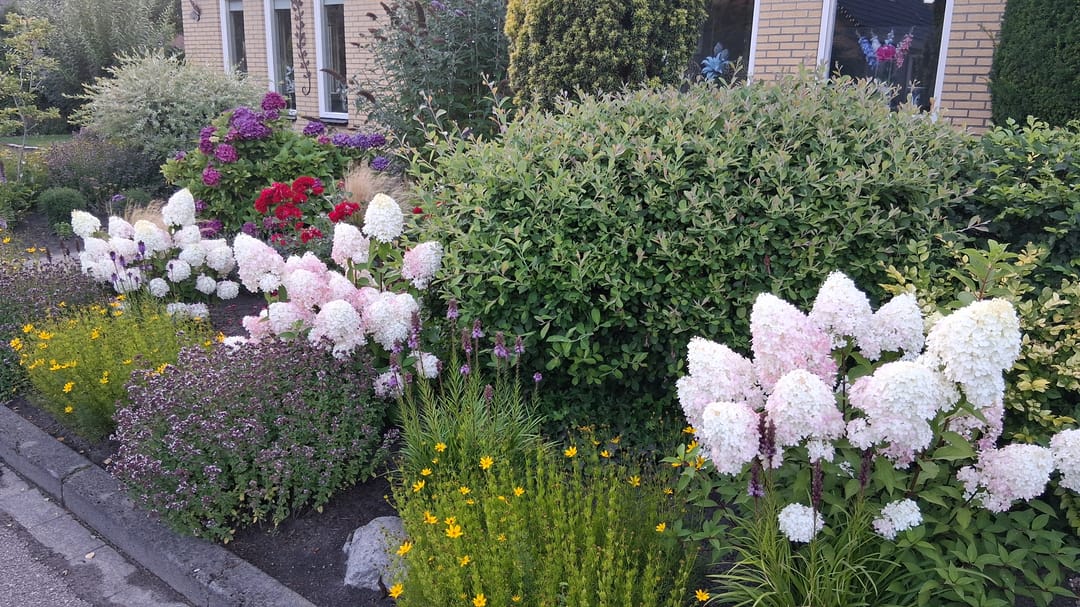 Foto 47 van Het Gebient 8