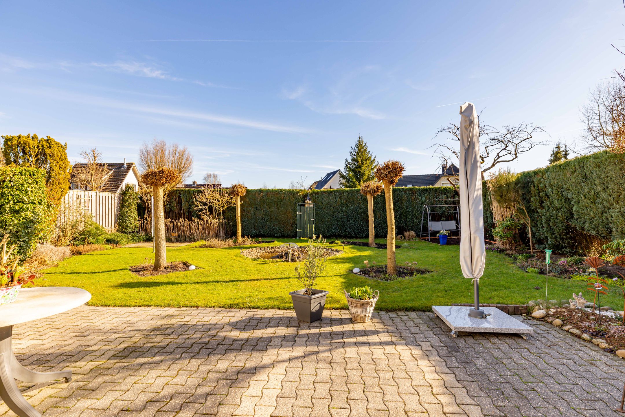 Foto 45 van Dotterbloem 29