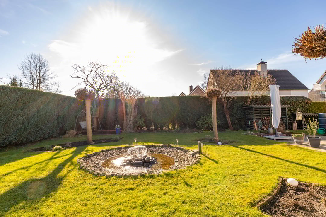 Foto 46 van Dotterbloem 29