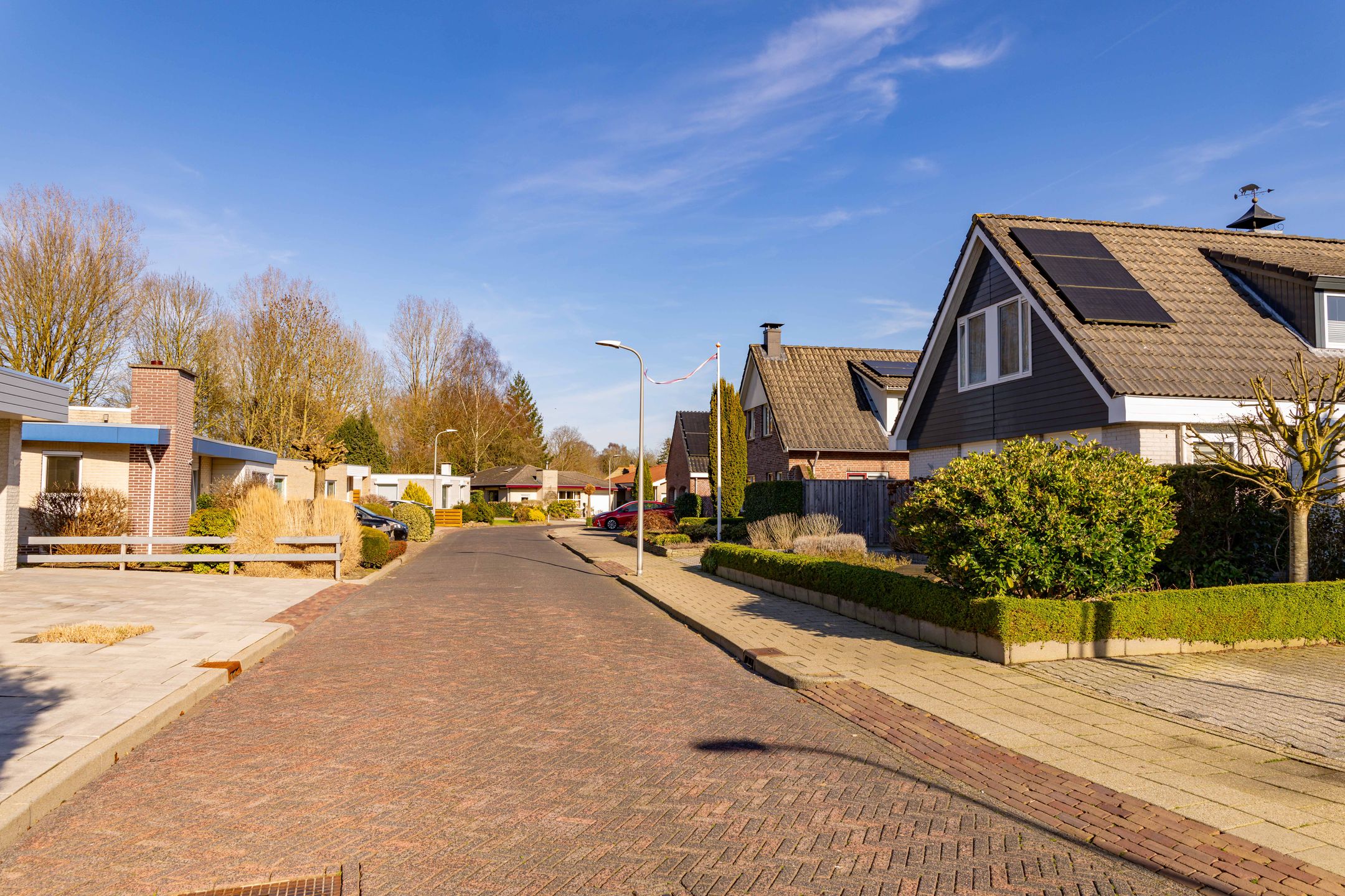 Foto 54 van Dotterbloem 29