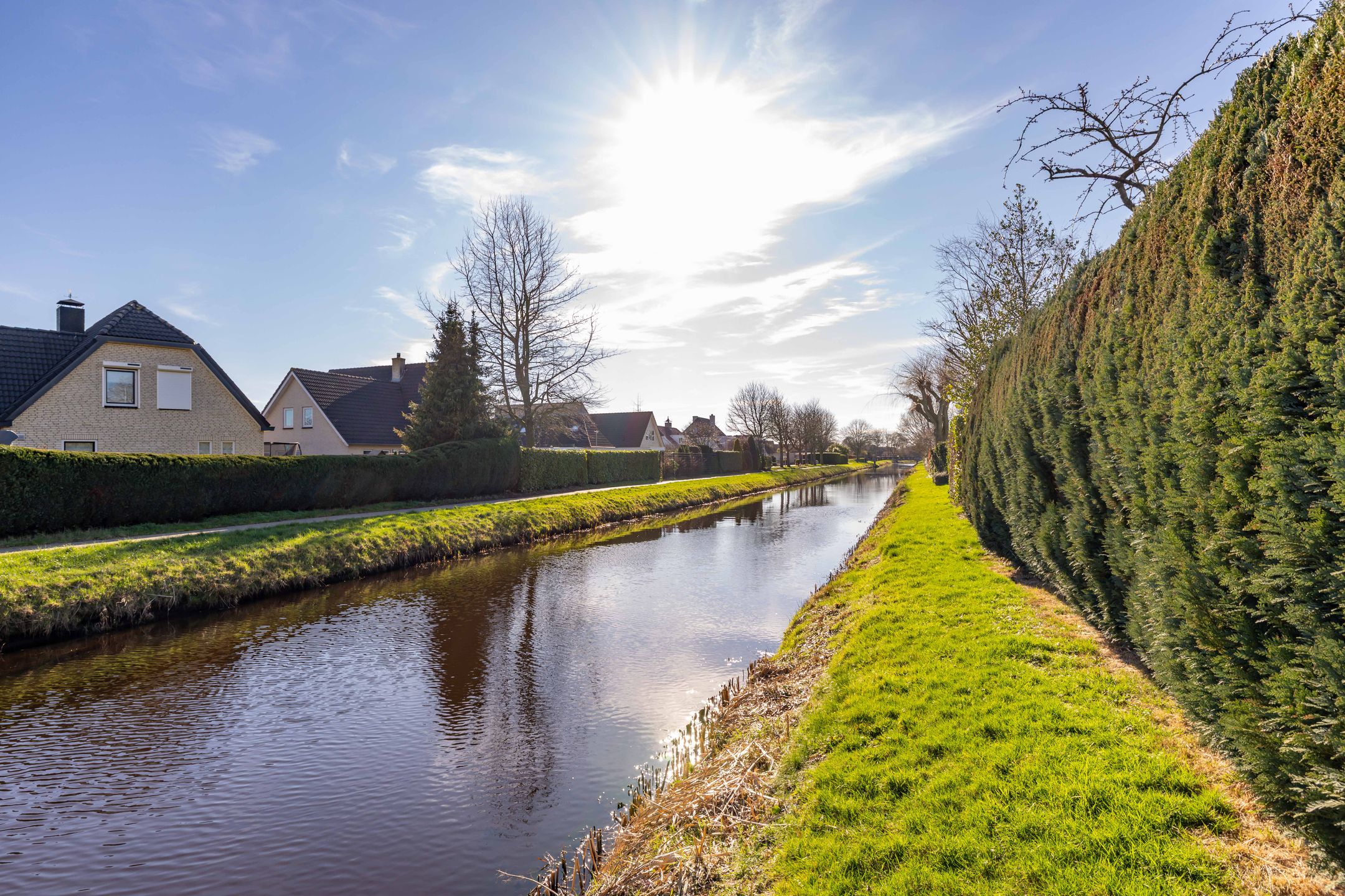 Foto 57 van Dotterbloem 29