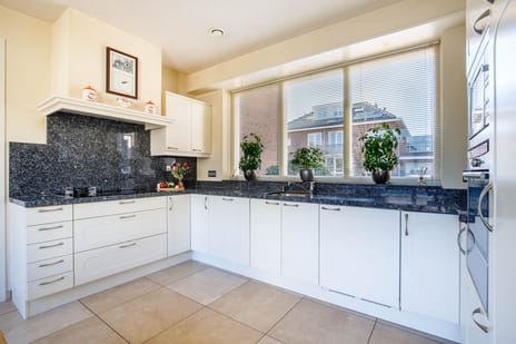 Sleedoorn 4 tertiary image