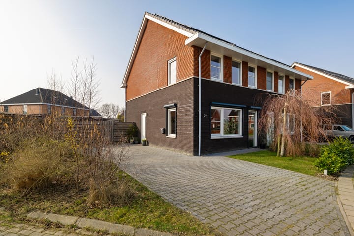 Buizerd 22 main image