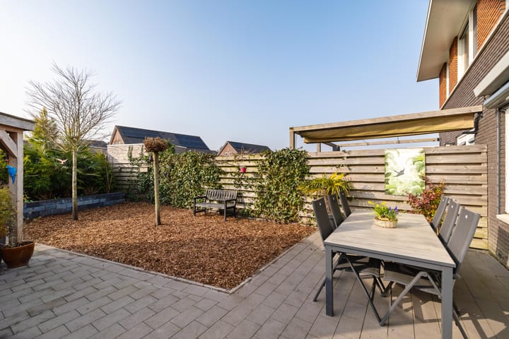 Foto 2 van Buizerd 22