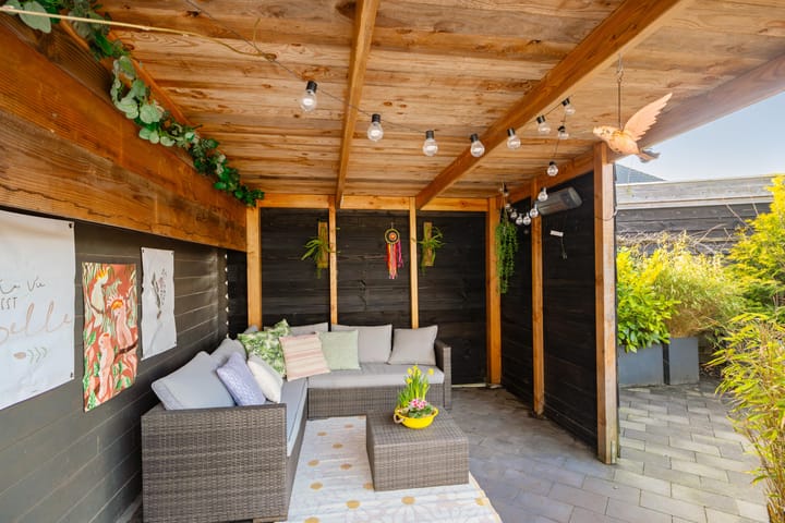 Foto 3 van Buizerd 22