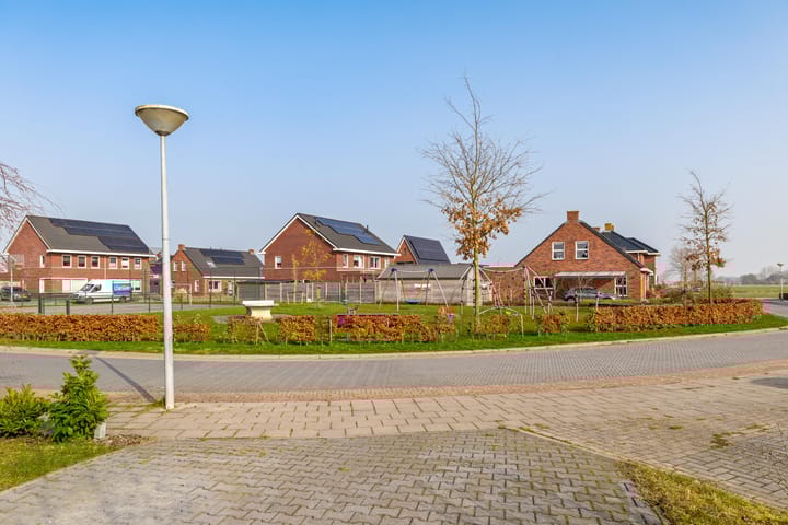 Foto 4 van Buizerd 22