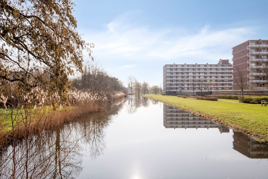 Foto 32 van Alkenoord 313