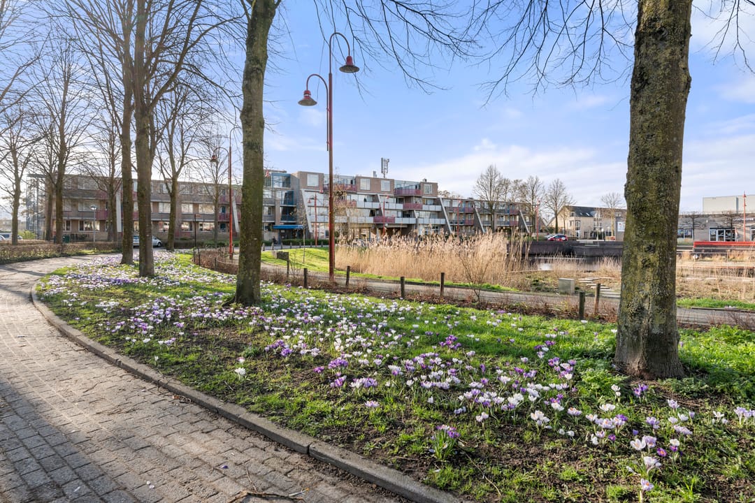 Foto 11 van Hooilandplein 8