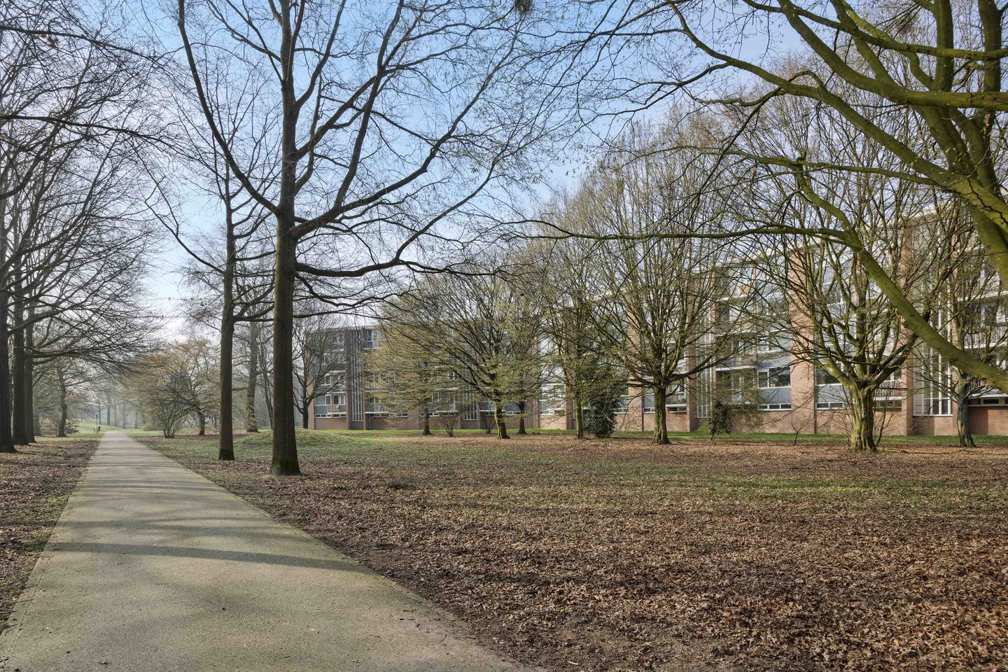 Foto 4 van Lucas Gasselstraat 22