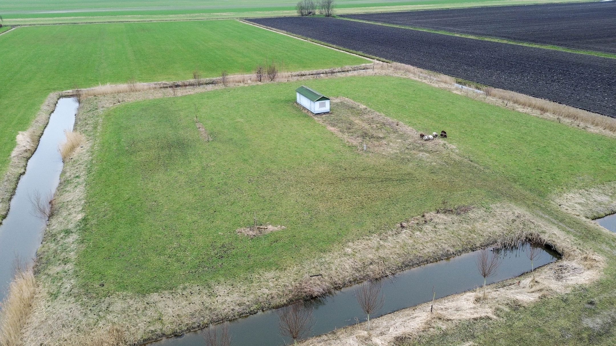 Foto 3 van Graskade