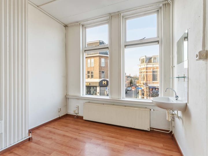 Foto 3 van Amsterdamsestraatweg 203-BS