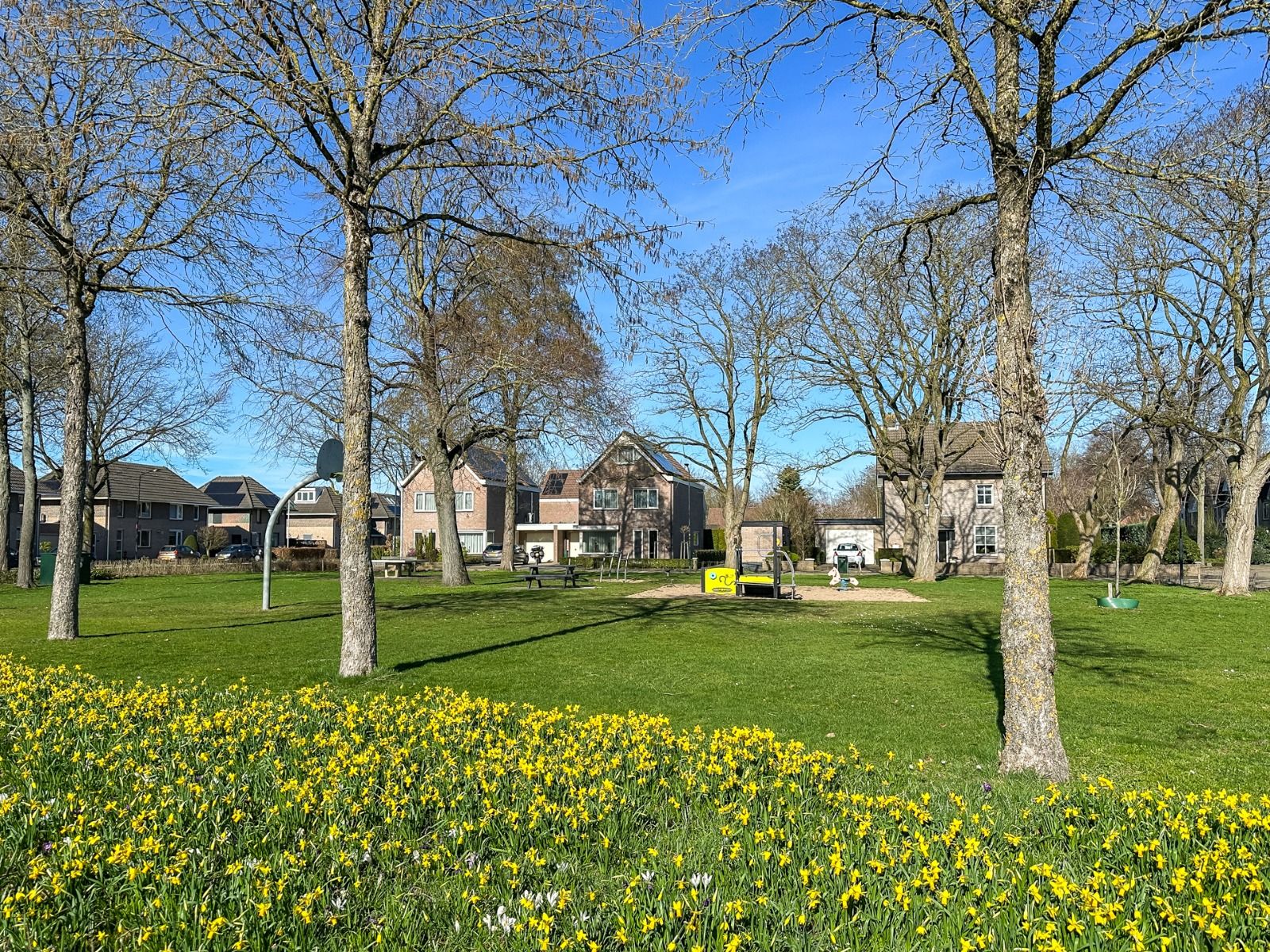 Foto 36 van Hesseling 8