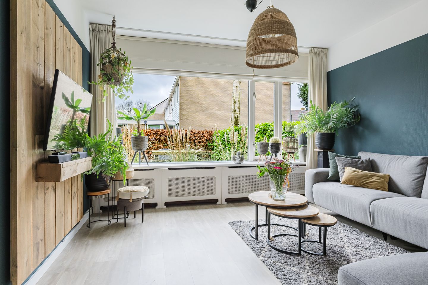 Photo 10 of Hunze 47