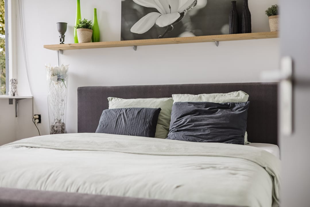 Photo 31 of Hunze 47