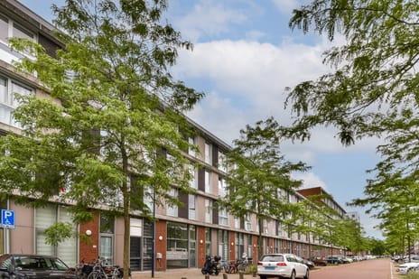 Domela Nieuwenhuisstraat thumbnail