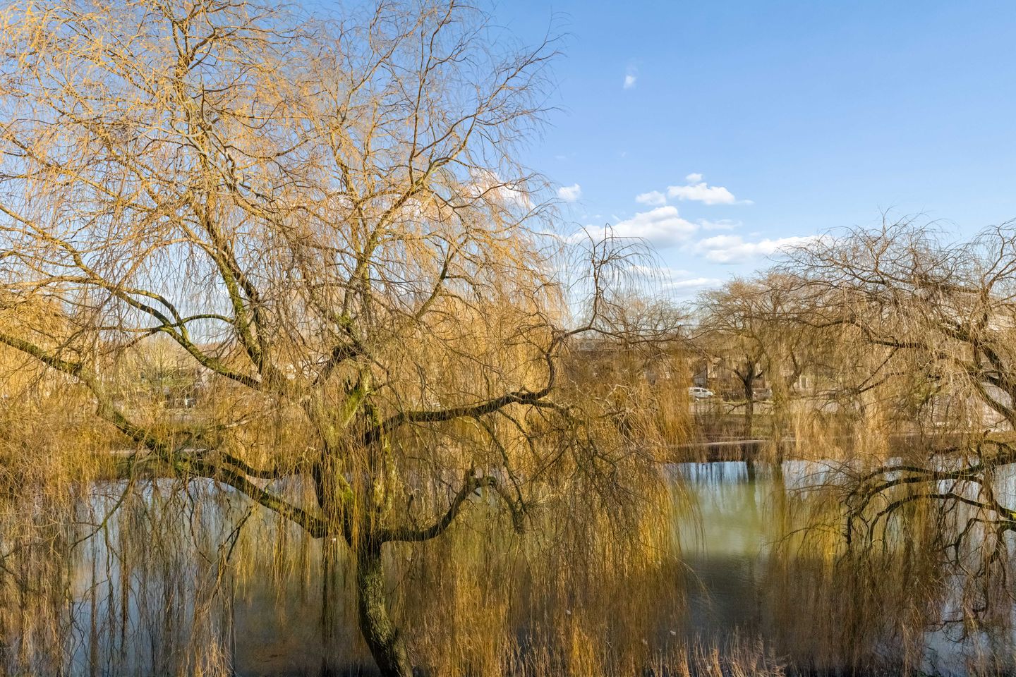 Foto 25 van Watercipresstraat 48