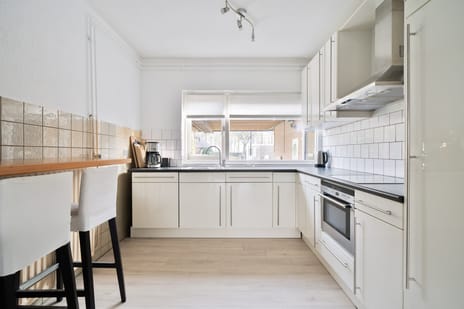 De Aalscholver 2 tertiary image