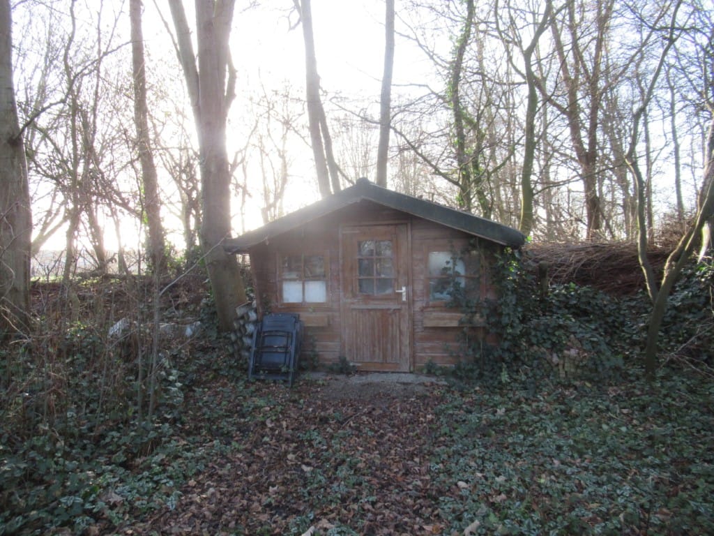 Photo 30 of Zuid-Spierdijkerweg 39