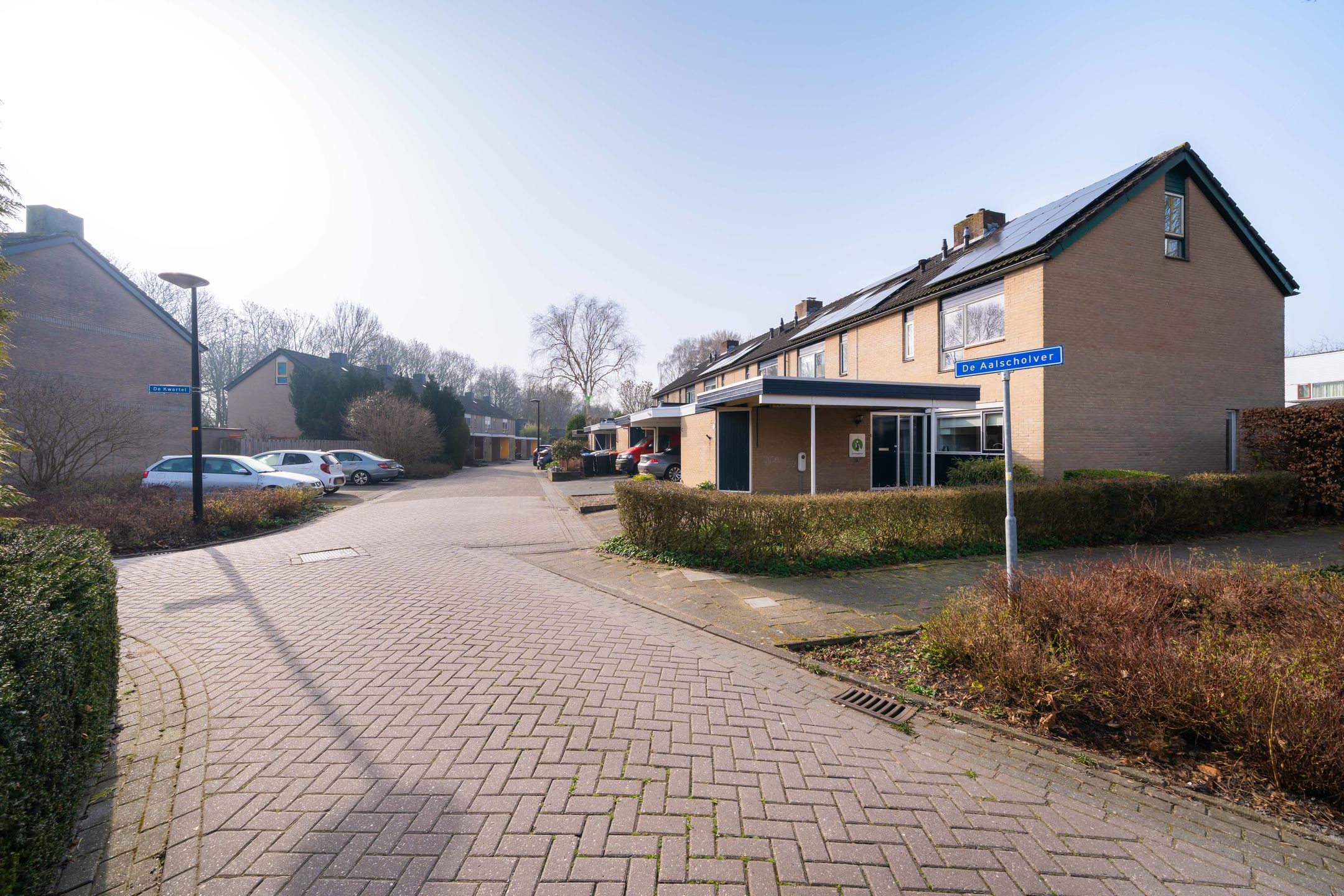 Foto 6 van De Aalscholver 2