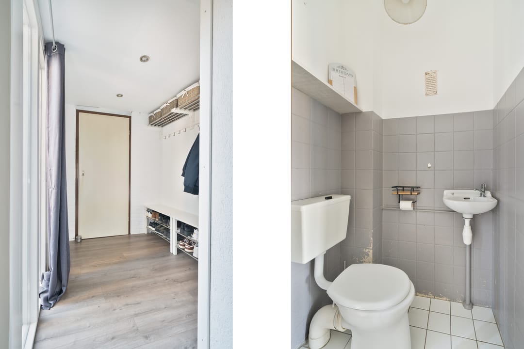 Foto 7 van De Aalscholver 2