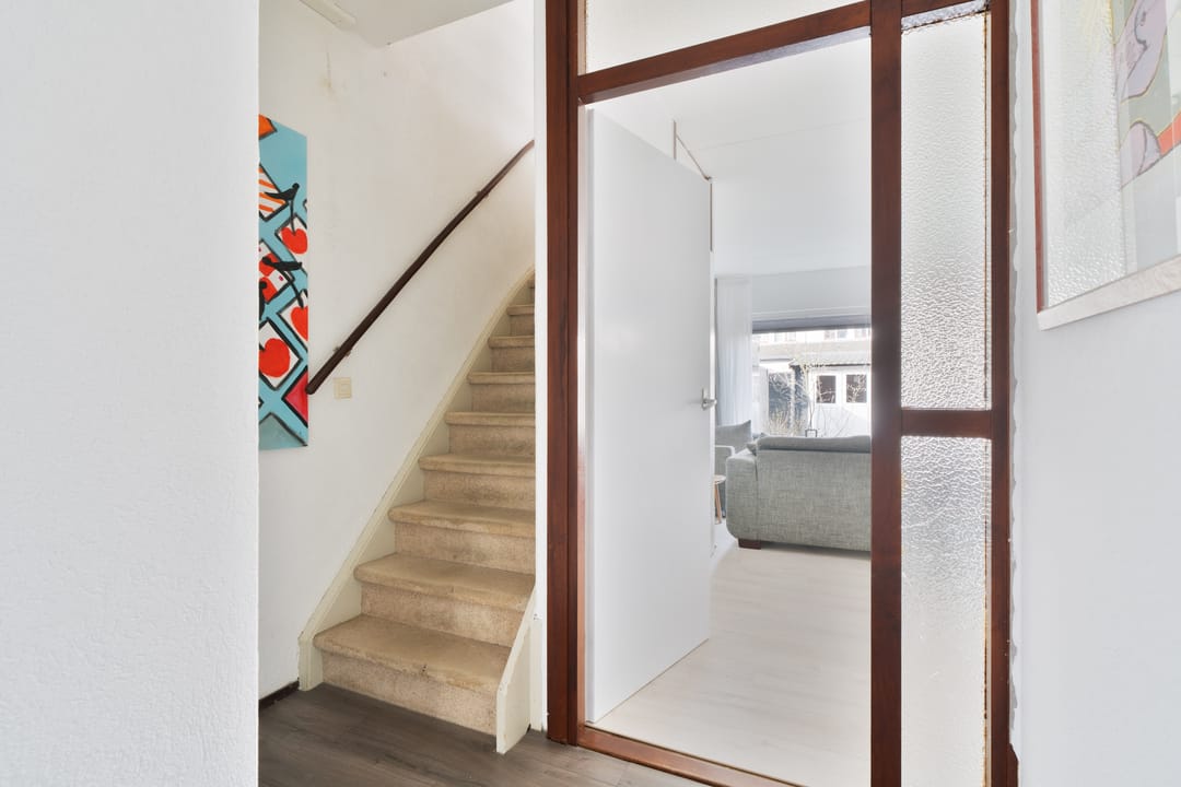 Foto 8 van De Aalscholver 2