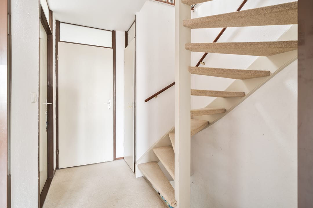 Foto 16 van De Aalscholver 2