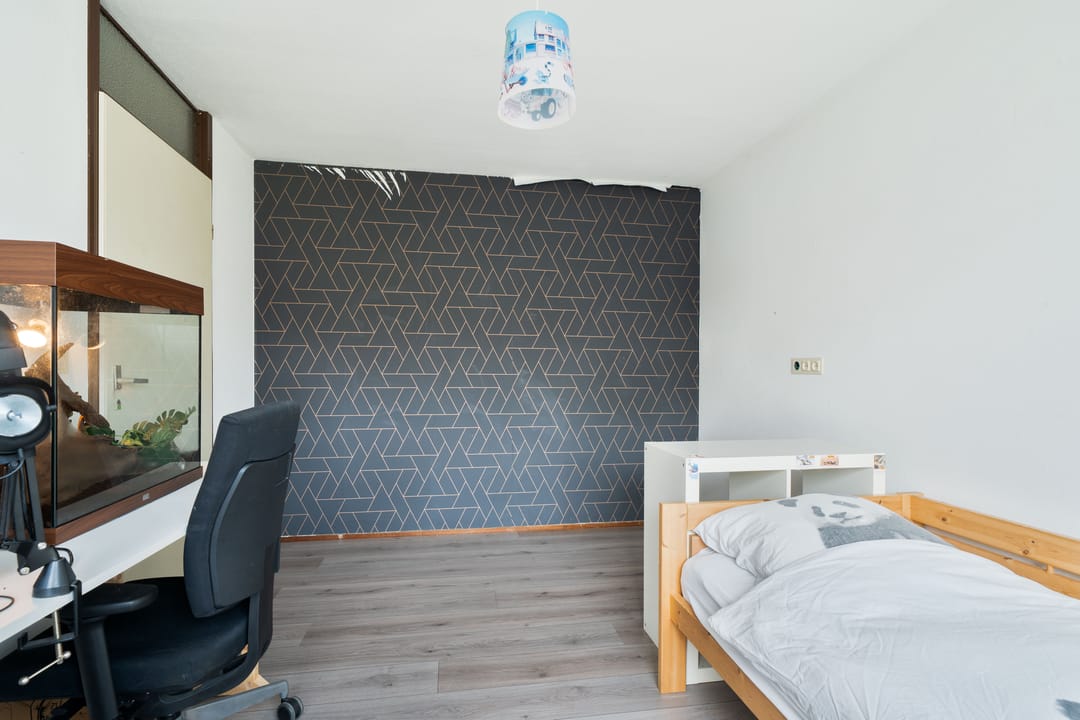 Foto 23 van De Aalscholver 2