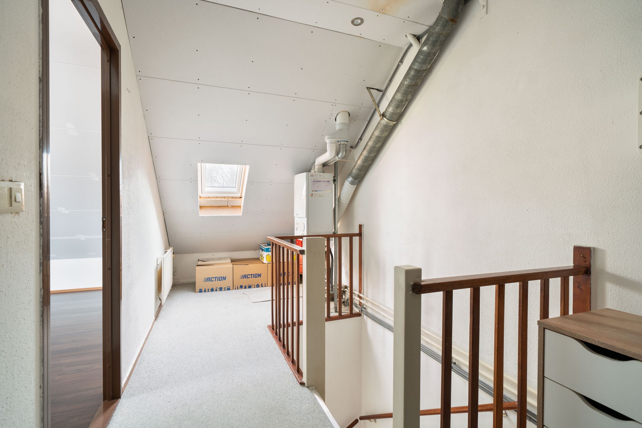 Foto 24 van De Aalscholver 2