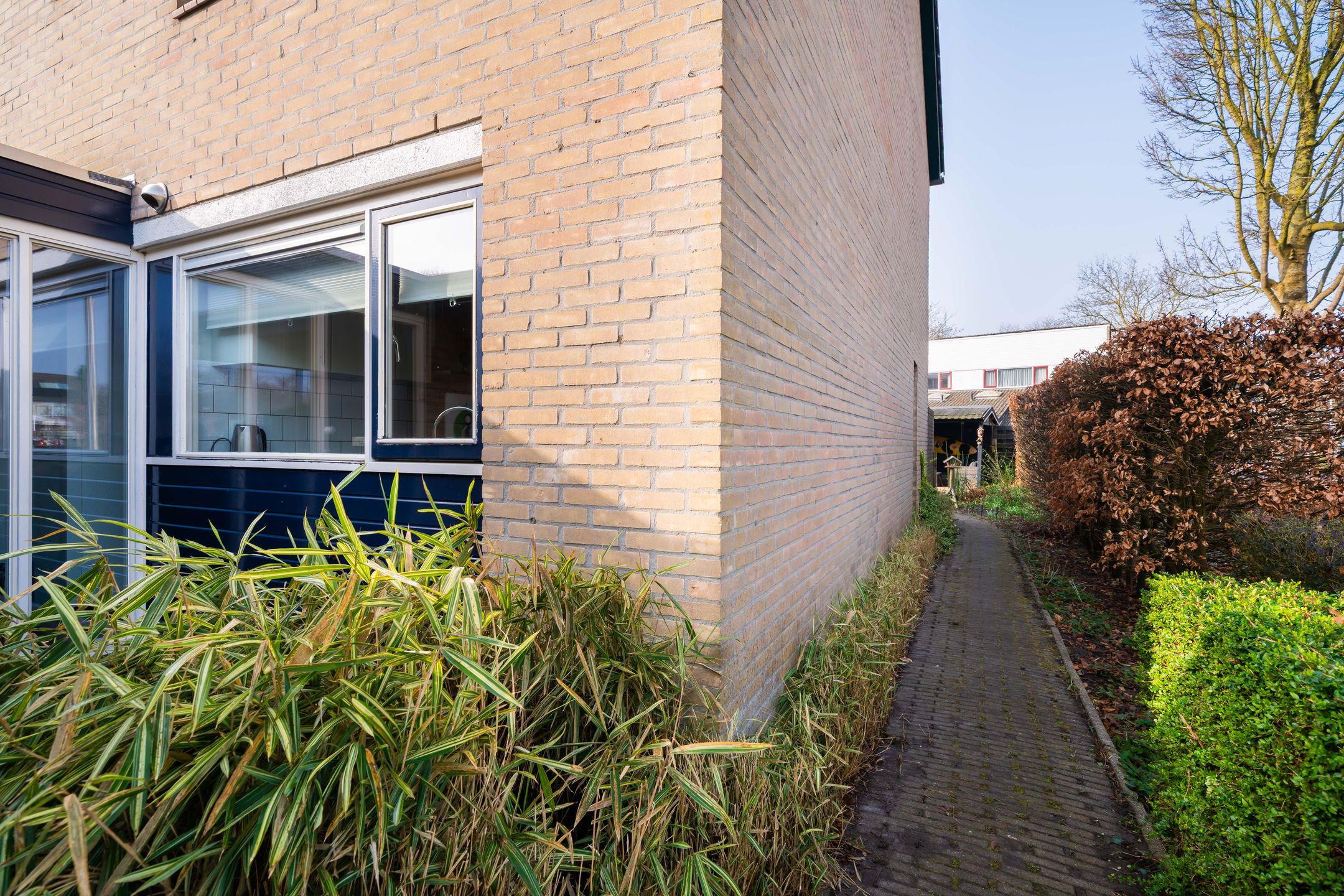 Foto 27 van De Aalscholver 2