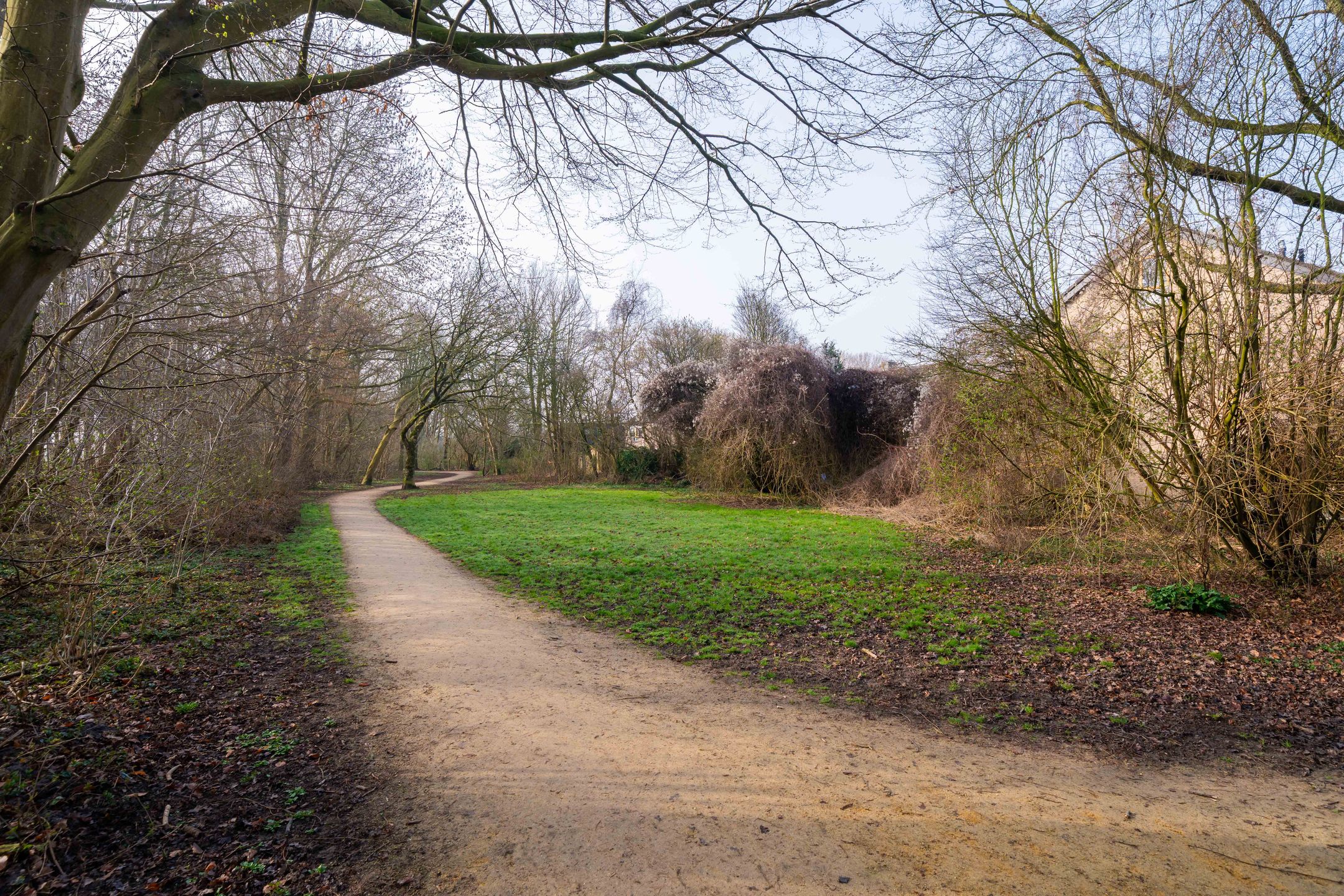 Foto 33 van De Aalscholver 2