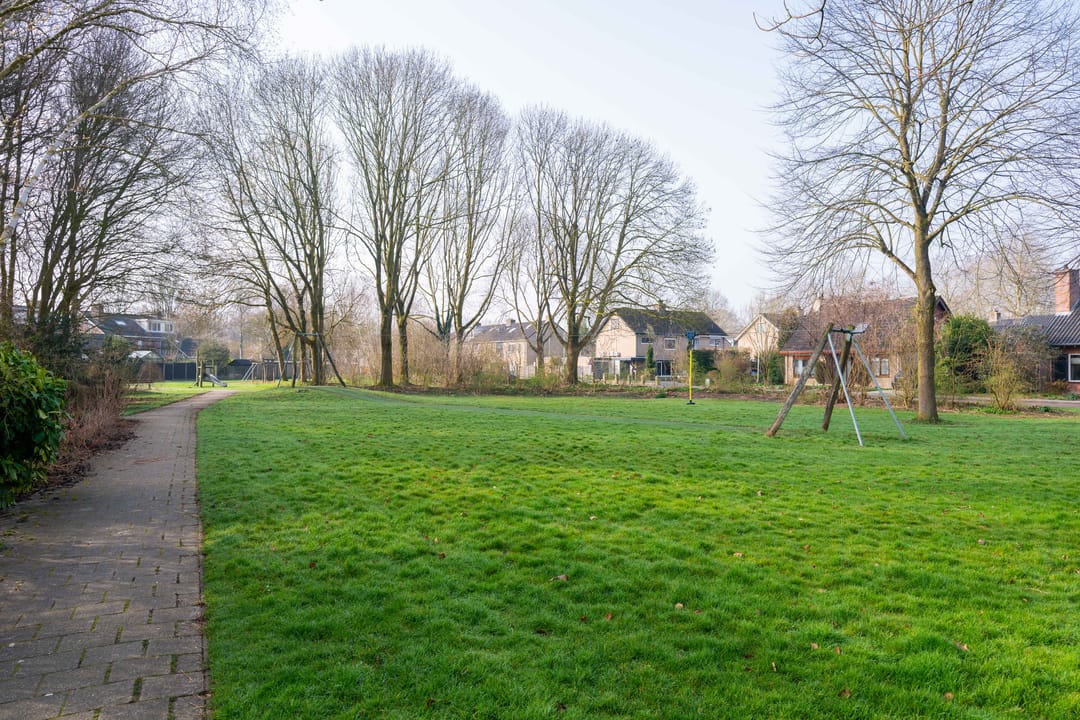 Foto 32 van De Aalscholver 2