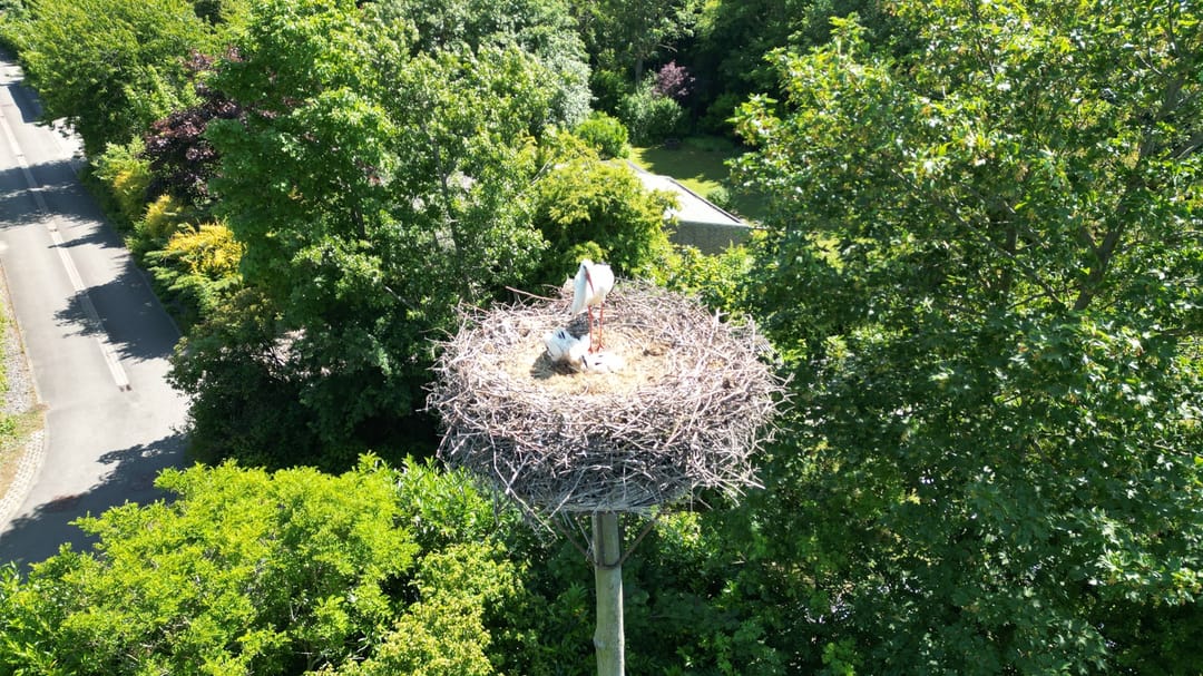 Foto 38 van Grote Christoffelstraat 49