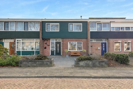 undefined main image