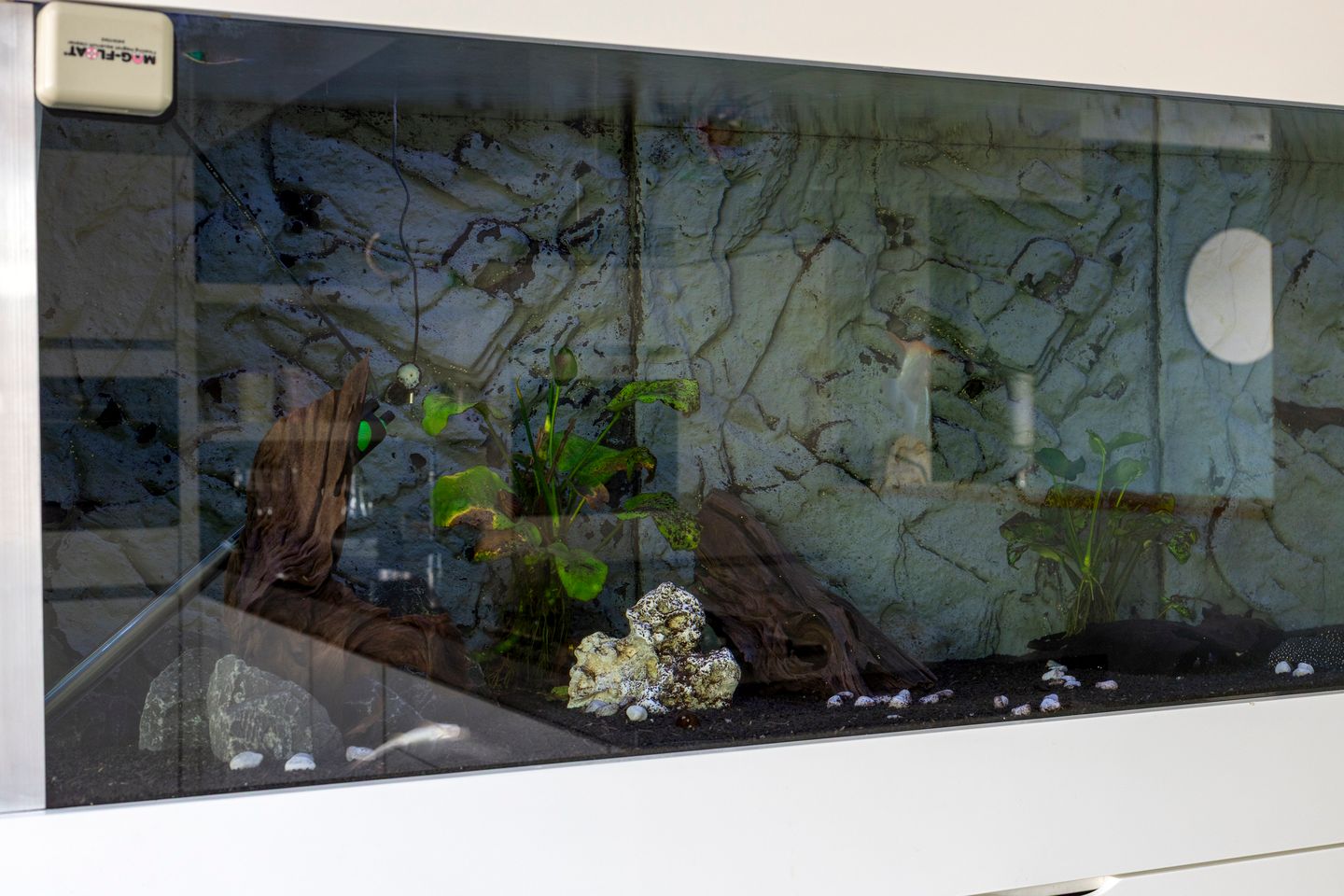 Foto 14 van Kamerlingh Onneslaan 44