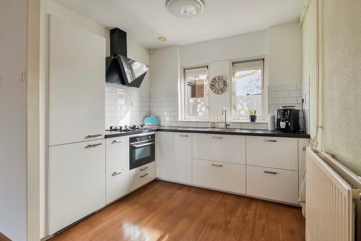 Foto 3 van Lijster 1