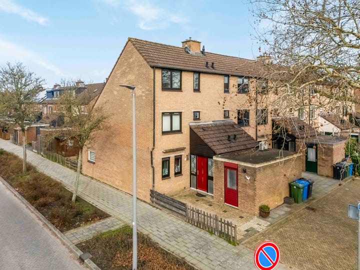 Foto 5 van Lijster 1