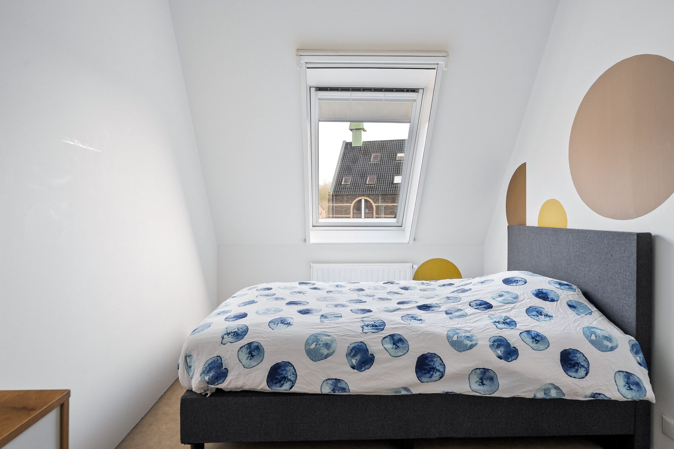 Photo 15 of Jelleslân 22